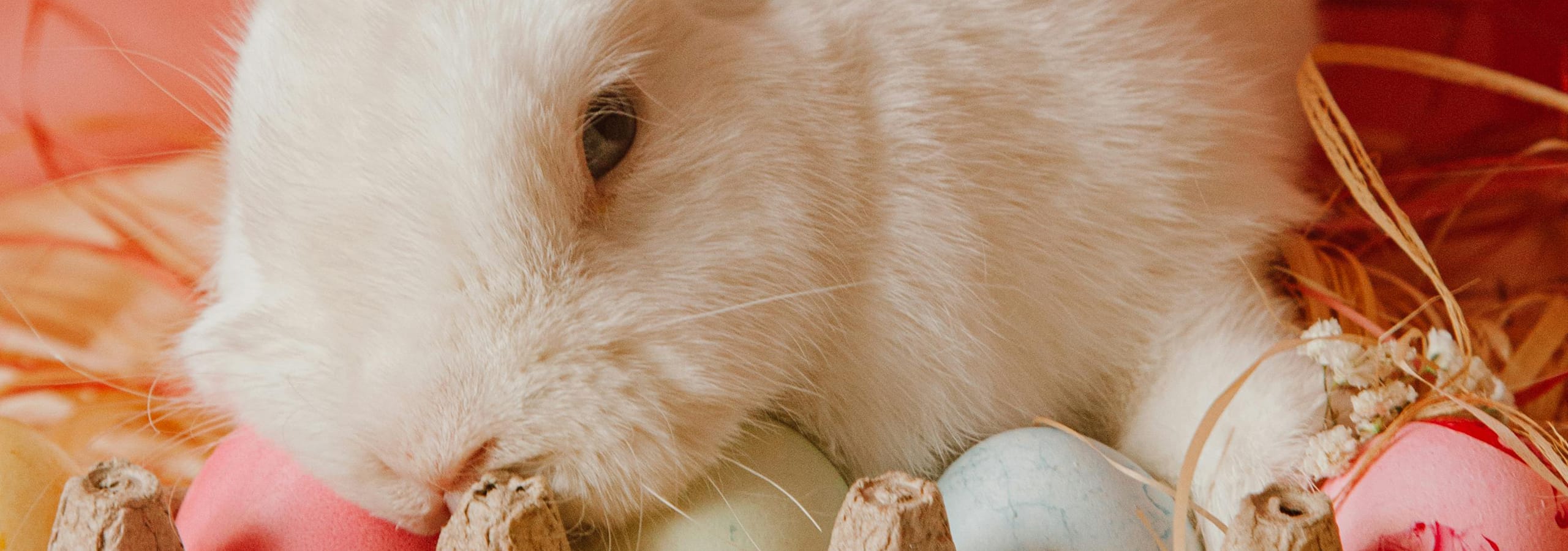 Ostern 2025